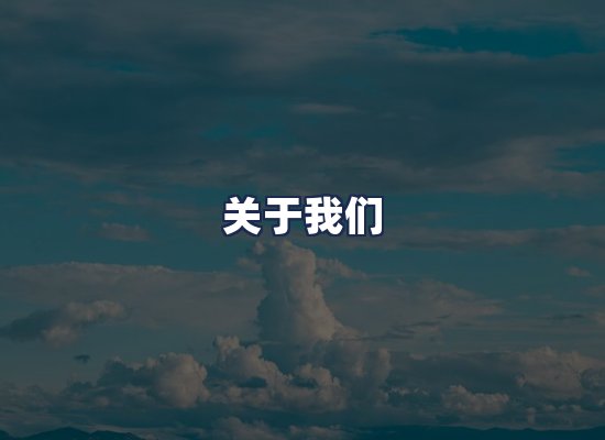 关于我们